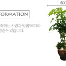 남양꽃집힐링플라워