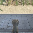 시골아줌마스테이 | [대구 근교] 밀양 스테이더담 상동점_커플, 친구들끼리 방문하기 좋은 곳, 자쿠지, 한옥감성숙소...