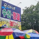 은아청과