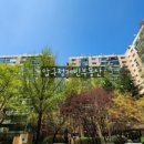 압구정-117 이미지