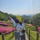 아산 주말 나들이*영인산 자연휴양림 수목원*철쭉제🌸