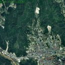 신세계부동산중개 이미지