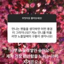 쏨스토리