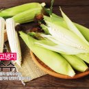 현지네농원 이미지