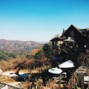 카페테라(Cafe tera) 이미지