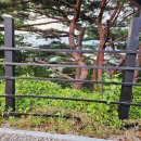 산바다캠핑장 이미지