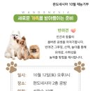완도네시아