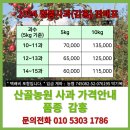 2024 감홍 판매시작합니다~문경사과 산골농원 이미지