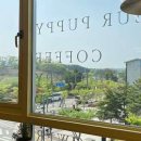 플레르퍼피 이미지