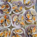 유영상회 | 부산 여행추천 남포동 회센터, 자갈치 횟집 탐라상회 다이내믹 해산물 한상 후기