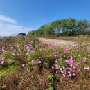 영종하늘도시32호 공원 북측 | 가을 인천아라뱃길 자전거여행2 feat. 북측갑문, 경인아라뱃길 아라타워, 아라마루휴게소, 아라폭포