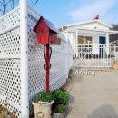 아드레이 이미지