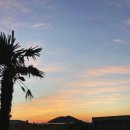 야스미 스테이 | 돌아기와떠난제주도여행1일차_숙소편/ 제주도 서부 감성 숙소 야스미스테이 찐후기