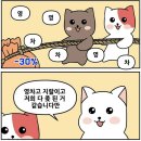 씨유 개화점 | 그랜드 민트 페스티벌 가서 리도어 데이브레이크 터치드 루시 보고 온 후기(+엑디즈 트럭이벤트)