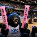 KPC 스포츠서울