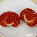 평화농장 이미지