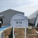 동읍224 | [부산근교체험]아이와 주남농부더하기 딸기체험 후기🍓❤️‍🔥 가격/소요시간/체험내용