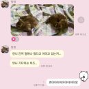 경상도 시골쥐의 서울 적응기 무료공개! 하지만 본가는 가야됨 10월 일상