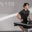 파프짐 이미지