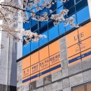 사파동204 이미지