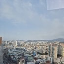 트인세무회계 이미지