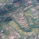 생활의상(중급) 이미지