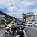 호명산잣나무숲캠핑장 이미지