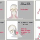 거북이한의원 이미지