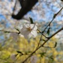 (주)엠코리아 이미지