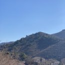 산골포도원