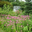 판교농장 이미지