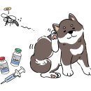 속편한동물약국 이미지