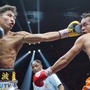 밴텀복싱 이미지