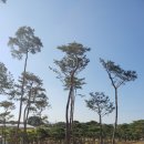 영민농장 이미지