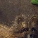 명화인문학 이미지