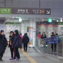 부산렙타일리아방문 후기!!