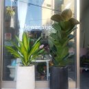 새서울DMC약국 이미지