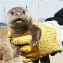 월산천 이미지