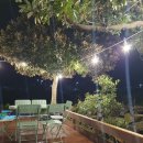 곽지머물다 이미지