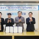 그린브라우니 이미지