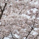 참새의 정원 이미지