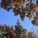 1교다리집 화로구이 이미지