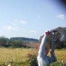 철선농장 이미지