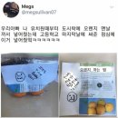 오렌지유치원 - 평택시 | 오렌지유치원