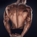 머스트핏 이미지