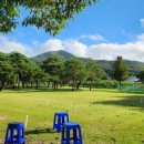 신읍동 560-1 마을진입로 | “군위 삼국유사 고로파크골프장 18홀 – 무료 이용·예약 방식·코스 특징 한 번에 정리”