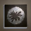 남진미술관1 | 예술의전당 | 감각의 서사 The Sensory Tale