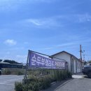 멍멍이와야옹이 | [강릉] 🌊강릉 순두부젤라또 2호점 내돈내산 후기 | 강릉 디저트 추천 | 인테리어가 예쁜 강릉 디저트 카페🐸