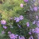 서천휴리조트펜션 칸딘스키동 이미지