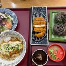 가츠라 | [수원/광교] 광교에서의 하루, 수지롯데몰맛집 가츠라부터 미키17영화후기 광교호수공원 나들이~